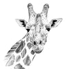 Textil Ersatzdruck Bleistiftzeichnung Giraffe Quadrat Motivvorschau