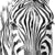 Textil Ersatzdruck Bleistiftzeichnung Zebra Hochformat Zoom