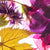 Textil Ersatzdruck Blumen Collage No 2 Panorama Zoom