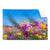 Textil Ersatzdruck Blumenwiese Unter Blauem Himmel Querformat Produktvorschau Frontal
