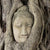 Textil Ersatzdruck Buddha In Baumwurzeln Schmal Zoom