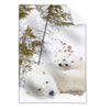 Textil Ersatzdruck Eisbaerenfamilie In Winterlicher Landschaft Hochformat Produktvorschau Frontal