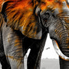 Textil Ersatzdruck Elefant Kraft Der Wildnis Panorama Zoom