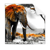 Textil Ersatzdruck Elefant Kraft Der Wildnis Quadrat Produktvorschau Frontal