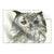 Textil Ersatzdruck Eule Wald No 1 Querformat Produktvorschau Frontal