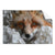 Textil Ersatzdruck Friedlicher Fuchs Und Blumen Querformat Produktvorschau Frontal
