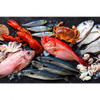 Textil Ersatzdruck Frischer Fisch Und Meeresfruechte Querformat Motivvorschau