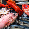 Textil Ersatzdruck Frischer Fisch Und Meeresfruechte Querformat Zoom