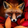 Textil Ersatzdruck Fuchs Im Herbstlaub Hochformat Zoom
