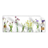 Textil Ersatzdruck Glasvasen Mit Kraeutern Panorama Produktvorschau Frontal