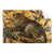 Textil Ersatzdruck Goldener Leopard Imposanter Jaeger Querformat Produktvorschau Frontal