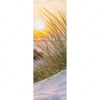 Textil Ersatzdruck Goldenes Licht Ueber Sandduenen Schmal Motivvorschau