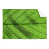 Textil Ersatzdruck Gruene Blattadern Querformat Produktvorschau Frontal