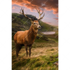 Textil Ersatzdruck Hirsch In Gebirgslandschaft Hochformat Motivvorschau