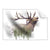Textil Ersatzdruck Hirsch Wald No 2 Querformat Produktvorschau Frontal