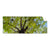 Textil Ersatzdruck Hoher Baum Panorama Produktvorschau Frontal