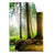 Textil Ersatzdruck Idyllischer Wald Bei Sonnenaufgang Hochformat Produktvorschau Frontal