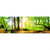 Textil Ersatzdruck Idyllischer Wald Bei Sonnenaufgang Panorama Motivvorschau