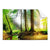 Textil Ersatzdruck Idyllischer Wald Bei Sonnenaufgang Querformat Produktvorschau Frontal