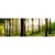 Textil Ersatzdruck Im Tiefen Wald Panorama Motivvorschau