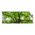 Textil Ersatzdruck Imposanter Baum Panorama Produktvorschau Frontal