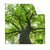 Textil Ersatzdruck Imposanter Baum Quadrat Produktvorschau Frontal