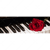 Textil Ersatzdruck Klavier Rose Panorama Motivvorschau