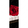 Textil Ersatzdruck Klavier Rose Schmal Motivvorschau