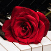 Textil Ersatzdruck Klavier Rose Schmal Zoom