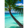Textil Ersatzdruck Kokospalme Am Strand Hochformat Motivvorschau