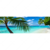 Textil Ersatzdruck Kokospalme Am Strand Panorama Motivvorschau