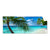 Textil Ersatzdruck Kokospalme Am Strand Panorama Produktvorschau Frontal