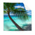 Textil Ersatzdruck Kokospalme Am Strand Quadrat Produktvorschau Frontal