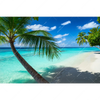 Textil Ersatzdruck Kokospalme Am Strand Querformat Motivvorschau