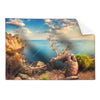 Textil Ersatzdruck Kuestenlandschaft Mit Altem Baum Querformat Produktvorschau Frontal