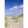 Textil Ersatzdruck Kuestenwanderung Durch Sandduenen Hochformat Motivvorschau