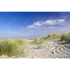 Textil Ersatzdruck Kuestenwanderung Durch Sandduenen Querformat Motivvorschau