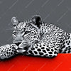 Textil Ersatzdruck Leopard Eleganz Trifft Abstraktion Quadrat Zoom