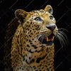 Textil Ersatzdruck Leopard In Der Dunkelheit Querformat Zoom