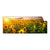 Textil Ersatzdruck Leuchtend Gelbe Sonnenblumen Am Abend Panorama Produktvorschau Frontal