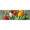 Textil Ersatzdruck Loeffel Mit Kraeutern Und Gewuerzen Panorama Motivvorschau