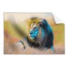 Textil Ersatzdruck Loewe Farben Der Wildnis Querformat Produktvorschau Frontal
