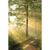 Textil Ersatzdruck Morgenspaziergang Im Nebeligem Wald Hochformat Motivvorschau