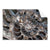 Textil Ersatzdruck Muschel Fossil No 3 Querformat Produktvorschau Frontal