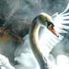 Textil Ersatzdruck Mystischer Schwan Im Nebel Querformat Zoom