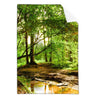 Textil Ersatzdruck Natur Pur Der Wald Hochformat Produktvorschau Frontal