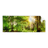 Textil Ersatzdruck Natur Pur Der Wald Panorama Produktvorschau Frontal