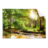 Textil Ersatzdruck Natur Pur Der Wald Querformat Produktvorschau Frontal