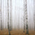 Textil Ersatzdruck Nebel Im Birkenwald Quadrat Motivvorschau