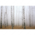 Textil Ersatzdruck Nebel Im Birkenwald Querformat Motivvorschau